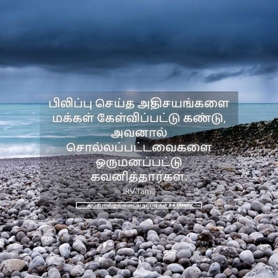 Picture 05 - அப்போஸ்தலருடைய நடபடிகள் 8:6 TAMIRV - பிலிப்பு செய்த - Bible Verse Picture