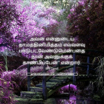 Picture 05 - அப்போஸ்தலருடைய நடபடிகள் 9:16 TAMIRV - அவன் என்னுடைய - Bible Verse Picture