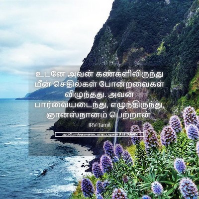 Picture 05 - அப்போஸ்தலருடைய நடபடிகள் 9:18 TAMIRV - உடனே அவன் - Bible Verse Picture