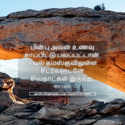 Picture 05 - அப்போஸ்தலருடைய நடபடிகள் 9:19 TAMIRV - பின்பு அவன் உணவு - Bible Verse Picture