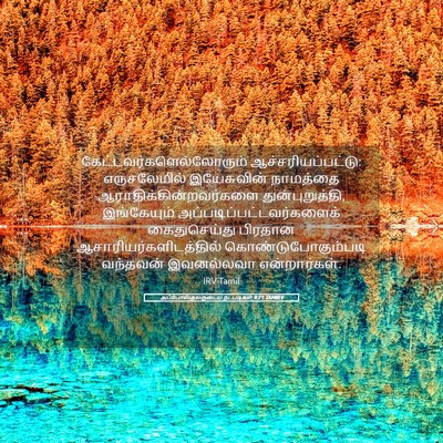 Picture 05 - அப்போஸ்தலருடைய நடபடிகள் 9:21 TAMIRV -  - Bible Verse Picture