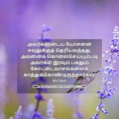 Picture 05 - அப்போஸ்தலருடைய நடபடிகள் 9:24 TAMIRV - அவர்களுடைய யோசனை - Bible Verse Picture