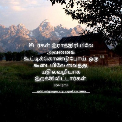 Picture 05 - அப்போஸ்தலருடைய நடபடிகள் 9:25 TAMIRV - சீடர்கள் - Bible Verse Picture