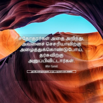 Picture 05 - அப்போஸ்தலருடைய நடபடிகள் 9:30 TAMIRV - சகோதரர்கள் அதை - Bible Verse Picture