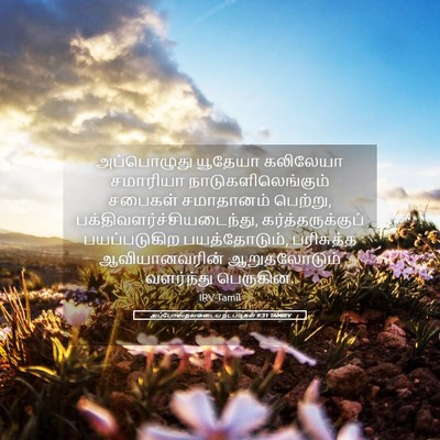 Picture 05 - அப்போஸ்தலருடைய நடபடிகள் 9:31 TAMIRV - அப்பொழுது யூதேயா - Bible Verse Picture
