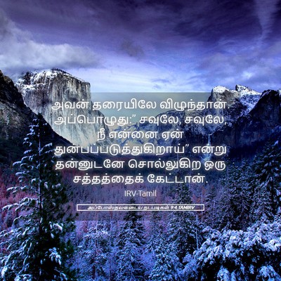 Picture 05 - அப்போஸ்தலருடைய நடபடிகள் 9:4 TAMIRV - அவன் தரையிலே - Bible Verse Picture