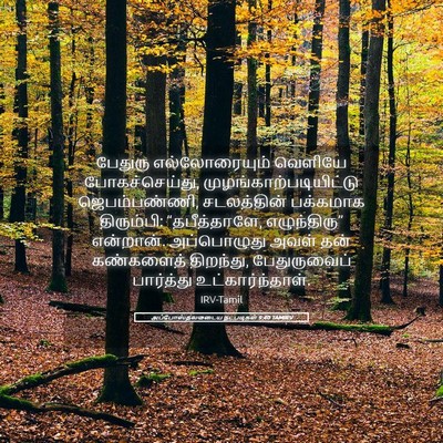 Picture 05 - அப்போஸ்தலருடைய நடபடிகள் 9:40 TAMIRV - பேதுரு - Bible Verse Picture