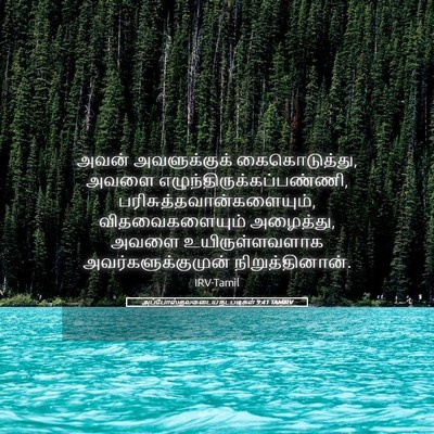 Picture 05 - அப்போஸ்தலருடைய நடபடிகள் 9:41 TAMIRV - அவன் அவளுக்குக் - Bible Verse Picture