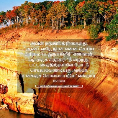 Picture 05 - அப்போஸ்தலருடைய நடபடிகள் 9:6 TAMIRV - அவன் நடுங்கித் - Bible Verse Picture