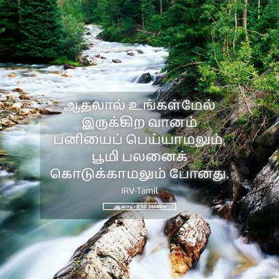 Picture 05 - ஆகாய் 1:10 TAMIRV - ஆதலால் உங்கள்மேல் - Bible Verse Picture