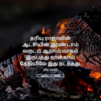 Picture 05 - ஆகாய் 1:15 TAMIRV - தரியு ராஜாவின் - Bible Verse Picture