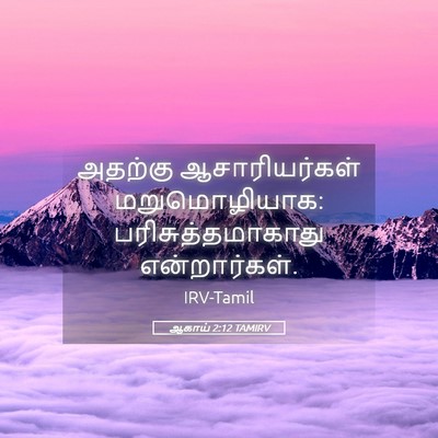 Picture 05 - ஆகாய் 2:12 TAMIRV - அதற்கு - Bible Verse Picture