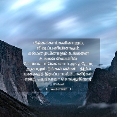 Picture 05 - ஆகாய் 2:17 TAMIRV -  - Bible Verse Picture