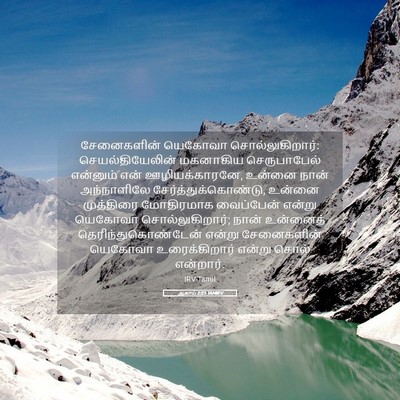 Picture 05 - ஆகாய் 2:23 TAMIRV - சேனைகளின் யெகோவா - Bible Verse Picture