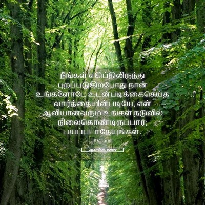 Picture 05 - ஆகாய் 2:5 TAMIRV - நீங்கள் - Bible Verse Picture