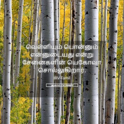 Picture 05 - ஆகாய் 2:8 TAMIRV - வெள்ளியும் - Bible Verse Picture