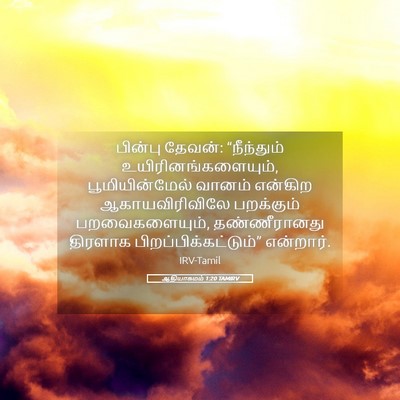 Picture 05 - ஆதியாகமம் 1:20 TAMIRV - பின்பு தேவன்: - Bible Verse Picture