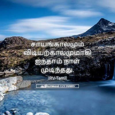 Picture 05 - ஆதியாகமம் 1:23 TAMIRV - சாயங்காலமும் - Bible Verse Picture