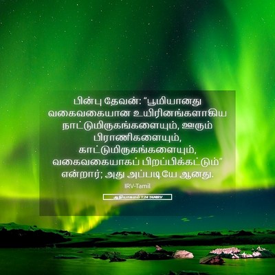 Picture 05 - ஆதியாகமம் 1:24 TAMIRV - பின்பு தேவன்: - Bible Verse Picture