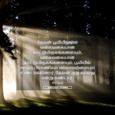 Picture 05 - ஆதியாகமம் 1:25 TAMIRV - தேவன் பூமியிலுள்ள - Bible Verse Picture