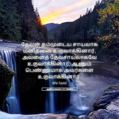 Picture 05 - ஆதியாகமம் 1:27 TAMIRV - தேவன் தம்முடைய - Bible Verse Picture