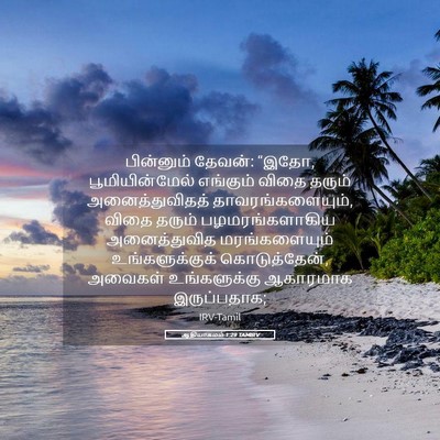 Picture 05 - ஆதியாகமம் 1:29 TAMIRV - பின்னும் தேவன்: - Bible Verse Picture
