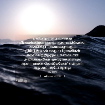Picture 05 - ஆதியாகமம் 1:30 TAMIRV - பூமியிலுள்ள - Bible Verse Picture