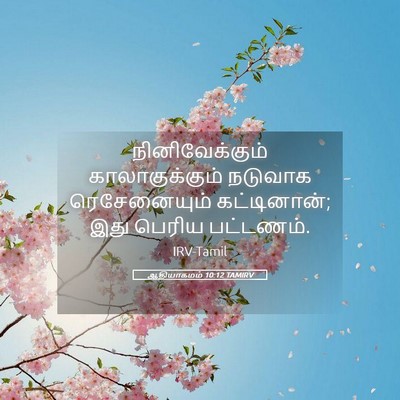 Picture 05 - ஆதியாகமம் 10:12 TAMIRV - நினிவேக்கும் - Bible Verse Picture