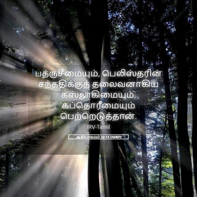 Picture 05 - ஆதியாகமம் 10:14 TAMIRV - பத்ருசீமையும், - Bible Verse Picture