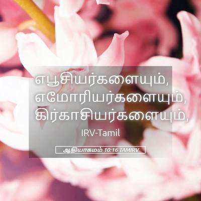 Picture 05 - ஆதியாகமம் 10:16 TAMIRV - எபூசியர்களையும், - Bible Verse Picture