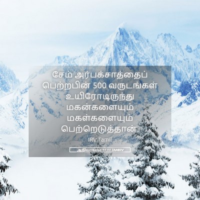 Picture 05 - ஆதியாகமம் 11:11 TAMIRV - சேம் - Bible Verse Picture