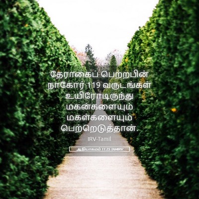 Picture 05 - ஆதியாகமம் 11:25 TAMIRV - தேராகைப் - Bible Verse Picture