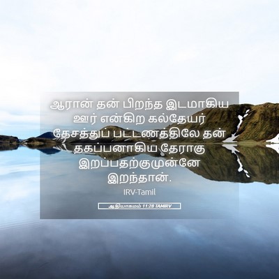Picture 05 - ஆதியாகமம் 11:28 TAMIRV - ஆரான் தன் பிறந்த - Bible Verse Picture