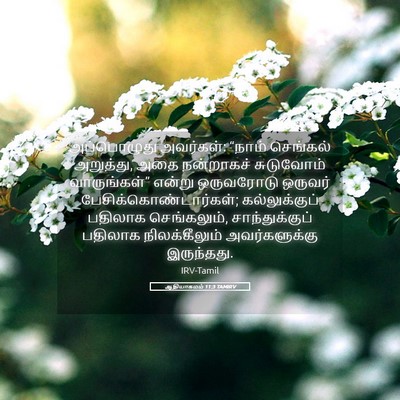 Picture 05 - ஆதியாகமம் 11:3 TAMIRV - அப்பொழுது - Bible Verse Picture