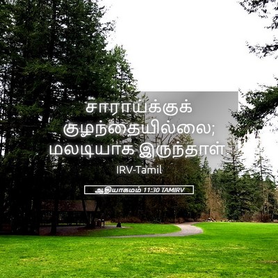 Picture 05 - ஆதியாகமம் 11:30 TAMIRV - சாராய்க்குக் - Bible Verse Picture