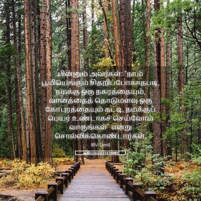 Picture 05 - ஆதியாகமம் 11:4 TAMIRV - பின்னும் அவர்கள்: - Bible Verse Picture
