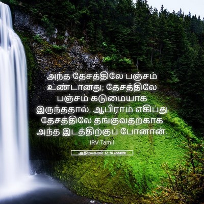 Picture 05 - ஆதியாகமம் 12:10 TAMIRV - அந்த தேசத்திலே - Bible Verse Picture