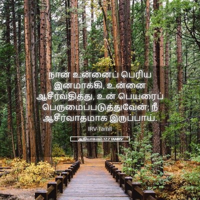 Picture 05 - ஆதியாகமம் 12:2 TAMIRV - நான் உன்னைப் - Bible Verse Picture