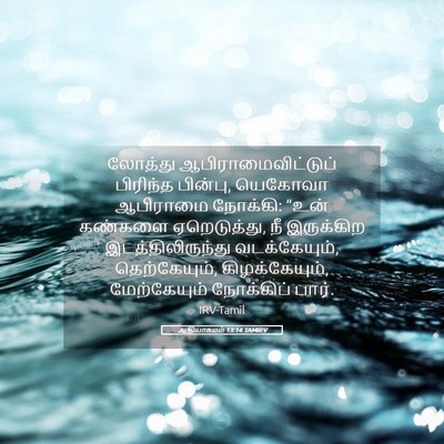 Picture 05 - ஆதியாகமம் 13:14 TAMIRV - லோத்து - Bible Verse Picture