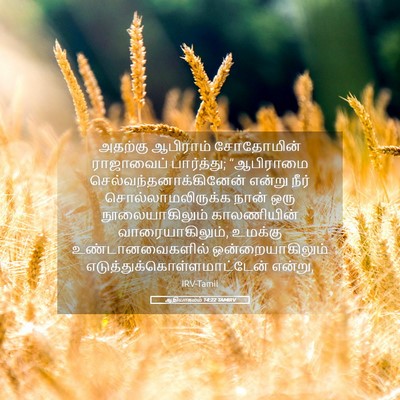 Picture 05 - ஆதியாகமம் 14:22 TAMIRV - அதற்கு ஆபிராம் - Bible Verse Picture