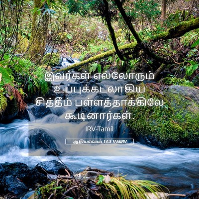 Picture 05 - ஆதியாகமம் 14:3 TAMIRV - இவர்கள் எல்லோரும் - Bible Verse Picture