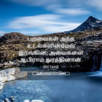 Picture 05 - ஆதியாகமம் 15:11 TAMIRV - பறவைகள் அந்த - Bible Verse Picture