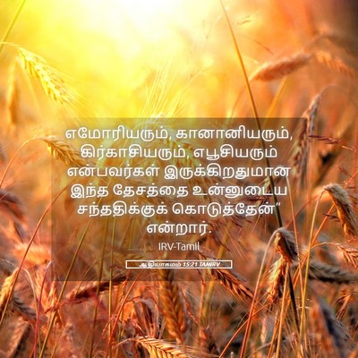 Picture 05 - ஆதியாகமம் 15:21 TAMIRV - எமோரியரும், - Bible Verse Picture