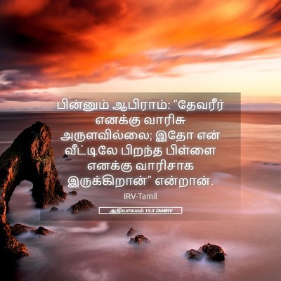 Picture 05 - ஆதியாகமம் 15:3 TAMIRV - பின்னும் ஆபிராம்: - Bible Verse Picture
