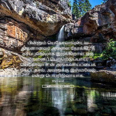 Picture 05 - ஆதியாகமம் 16:11 TAMIRV - பின்னும் - Bible Verse Picture