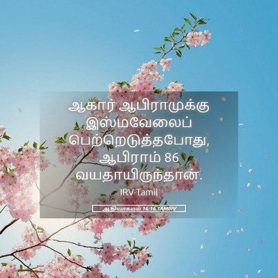 Picture 05 - ஆதியாகமம் 16:16 TAMIRV - ஆகார் ஆபிராமுக்கு - Bible Verse Picture