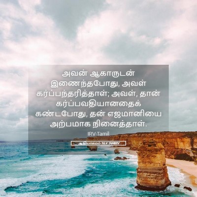 Picture 05 - ஆதியாகமம் 16:4 TAMIRV - அவன் ஆகாருடன் - Bible Verse Picture