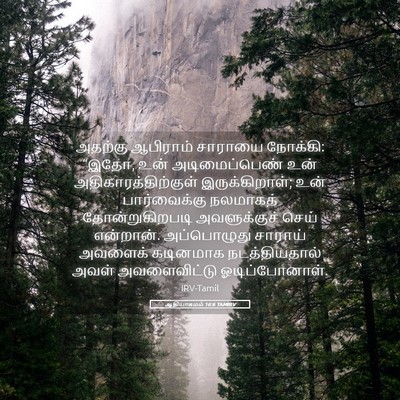Picture 05 - ஆதியாகமம் 16:6 TAMIRV - அதற்கு ஆபிராம் - Bible Verse Picture