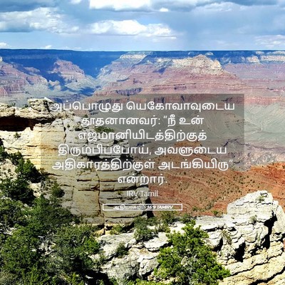 Picture 05 - ஆதியாகமம் 16:9 TAMIRV - அப்பொழுது - Bible Verse Picture