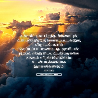 Picture 05 - ஆதியாகமம் 17:13 TAMIRV - உன் வீட்டிலே - Bible Verse Picture
